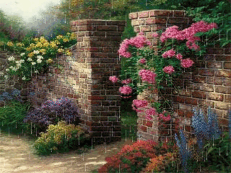 263a285bb6aeaa51d0ec166d17e3838f.gif (320×240)