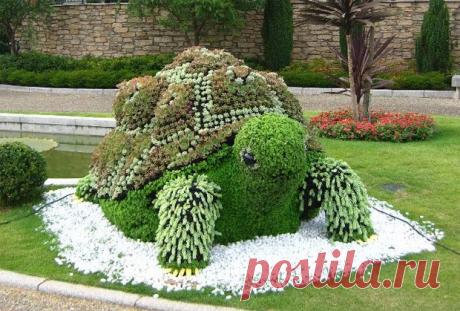 gabon-6.jpg (620×419)