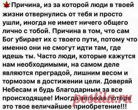 (4) Вячеслав Ананьев поделился photo Daniel Rozen. - Вячеслав Ананьев