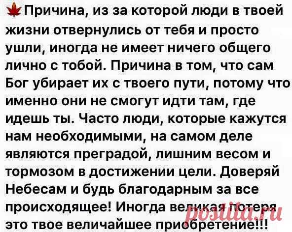 (4) Вячеслав Ананьев поделился photo Daniel Rozen. - Вячеслав Ананьев