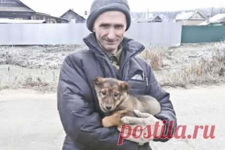 В городе Гаврилов-Ям всем миром спасали щенка из подземного плена | Все о наших питомцах
