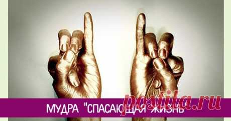 Мудра "Спасающая жизнь" Эзотерика, самопознание, путь к себе, духовные практики, духовное развитие