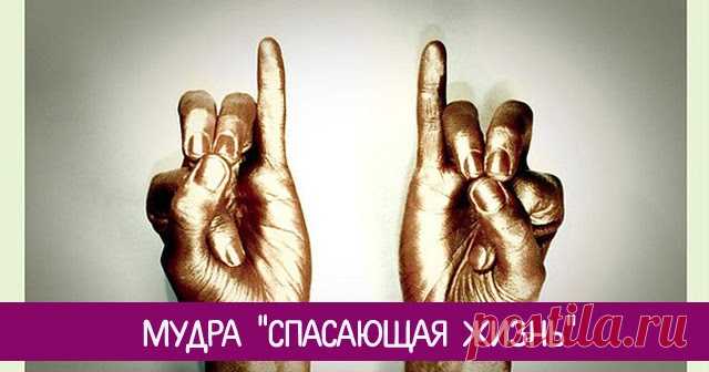 Мудра 