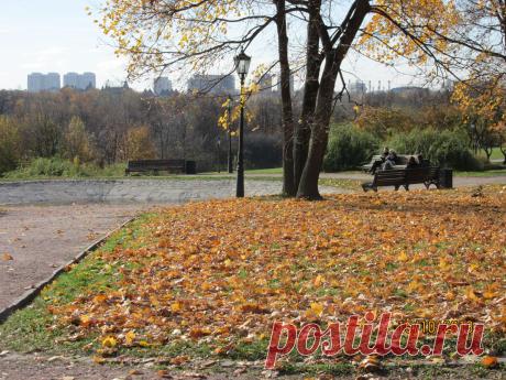 Парк музея Коломенское