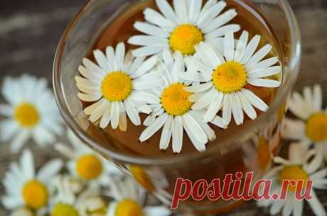 Чай из ромашки - рецепт дня