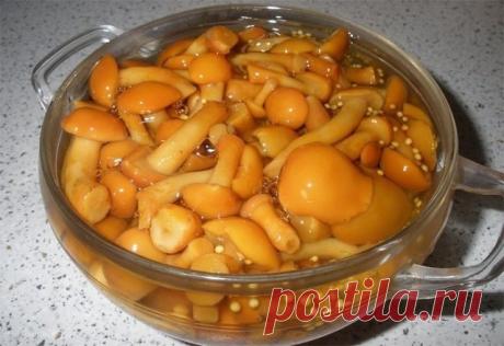 Маринад для любых грибов.