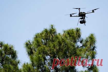 США захотели заключить контракт с Индией на поставку беспилотников. США хотят заключить с Индией крупный контракт на поставку американских беспилотников морской разведки MQ-9B SeaGuardian. Госдеп США, Пентагон и Белый дом «подталкивают» Нью-Дели к тому, чтобы «показать прогресс» в сделке по покупке 30 дронов производства General Atomics во время визита премьер-министра Нарендры Моди.