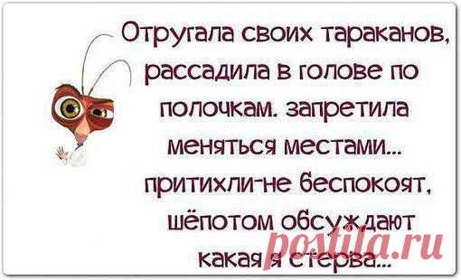 Смотрите лучшие приколы онлайн на сайте Prikol.nur.kz