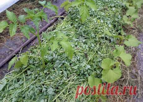 Тебе надо, ты и копай или Сезон великих открытий