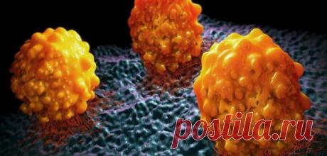 Остановить развитие метастаз могут помочь средства от ожирения
Учёным из Бельгии удалось установить молекулу, “отключение” которой остановит развитие злокачественных клеток. Материалами на данную тему поделилось издание MedicalXpress. Как установили исследователи, в развитии метастазов участвуют липиды. Вырабатывая энергию, они тем самым помогают злокачественным клеткам расти и развиваться. Найдя...
Читай пост далее на сайте. Жми ⏫ссылку выше