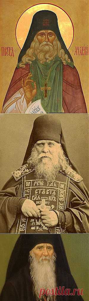 Ольга Рожнёва. Преподобный Анатолий (Зерцалов; 1824–1894) / Православие.Ru