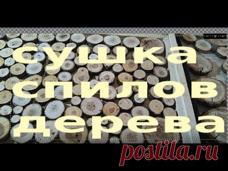Как просушить спилы древесины