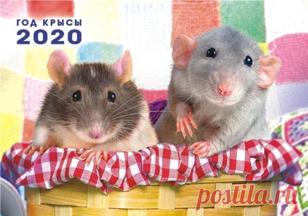 Самый неудачный день 2020 года для каждого из знаков зодиака Каждый день может быть трудным — можно вдруг опоздать на поезд, разлить кофе в самый неподходящий момент или ужасно разругаться с близким человеком. Такова природа жизни со всеми ее взлетами и падениями. Но, принимая во внимание предсказательную силу астрологии, в году можно отыскать день, который