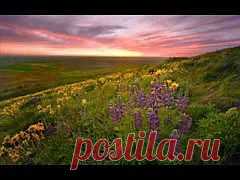 "Приключения ламы". Позитивный мультфильм | ВИДЕОСМАК