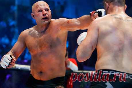 Федор Емельяненко победил Фабио Мальдонадо: MMA: Спорт: Lenta.ru