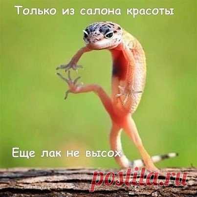 позитив