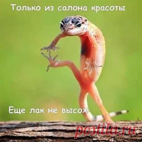 позитив