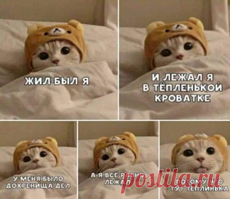 Доброутречка)))))
