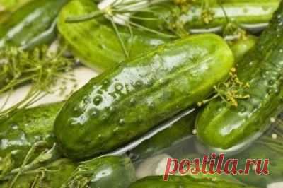 Рецепт Огурцы малосольные с зелёным луком - пошаговый рецепт приготовления с фото | Закуски и бутерброды | La-Minute - кулинарные рецепты