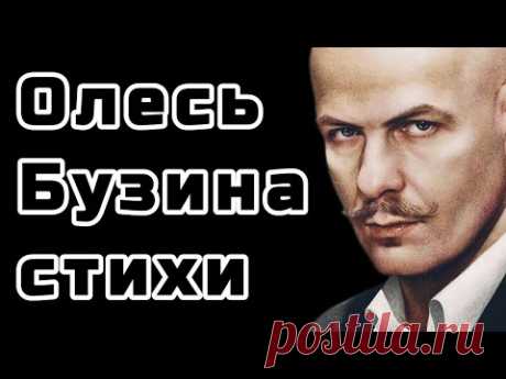 Я НЕ ЛЮБЛЮ ТАКУЮ УКРАИНУ - Олесь Бузина