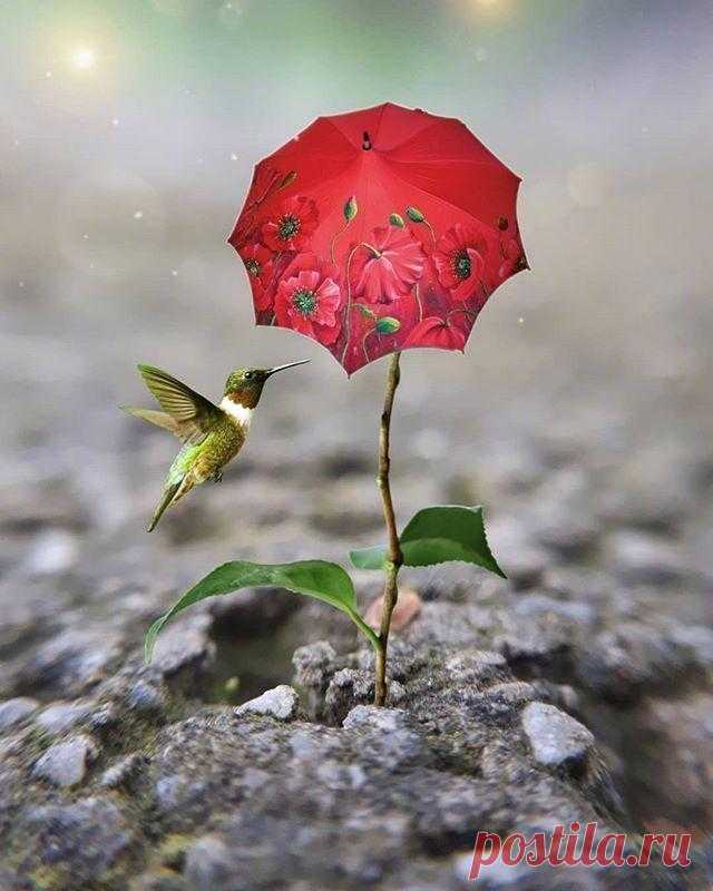 cute beautiful things for dp – Google Поиск