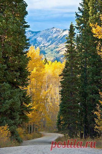 Just Driving...от пользователя  Wayne Boland 
на Flickr | Flickr - Photo Sharing!