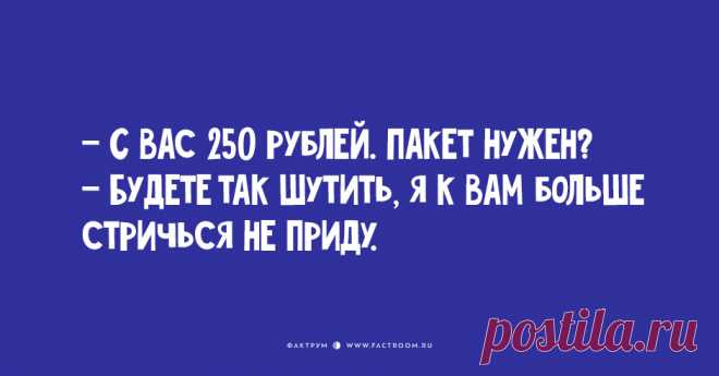 12 обалденных анекдотов, которые вас заждались!