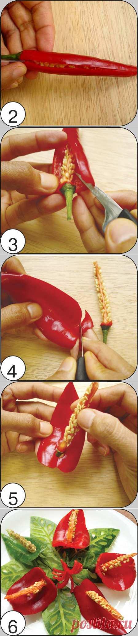 КАЛЛЫ из острого перца