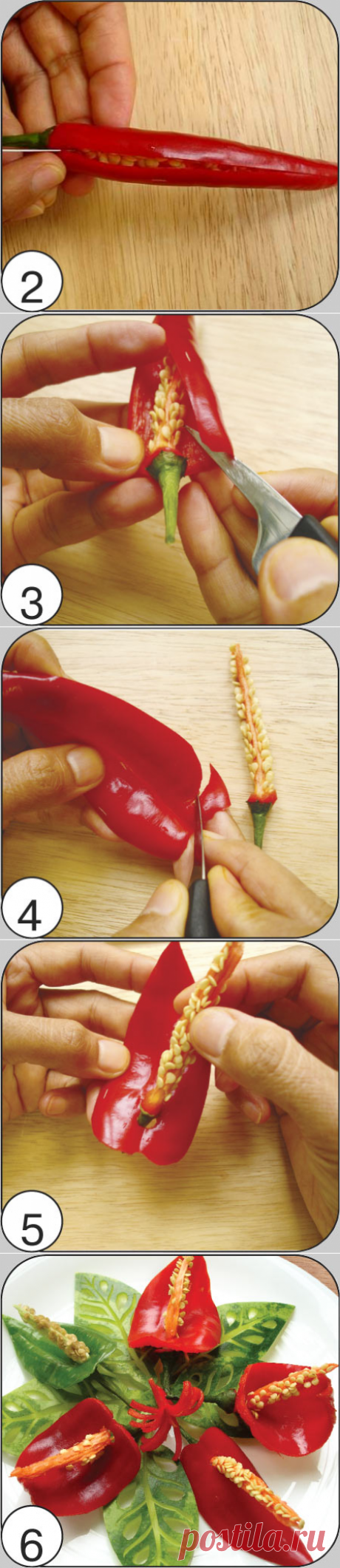 КАЛЛЫ из острого перца