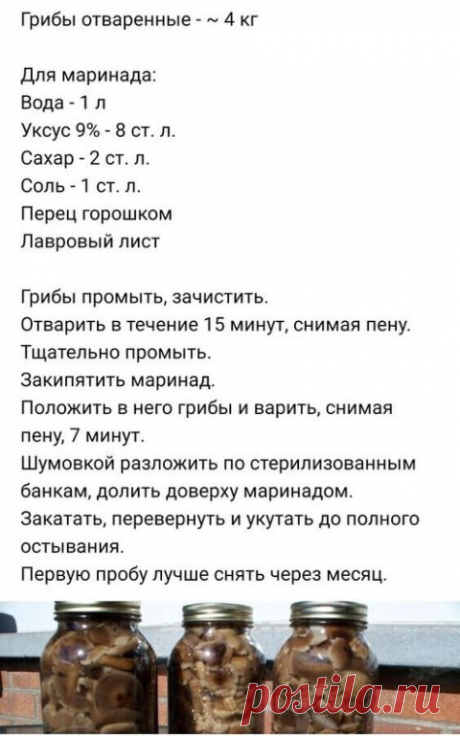 Опята маринованные.