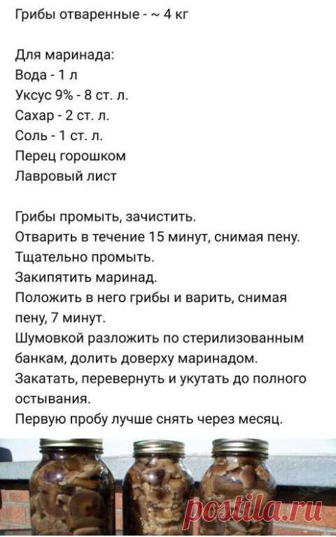 Опята маринованные.