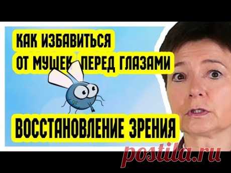 Как избавиться от мушек перед глазами | Восстановление зрения