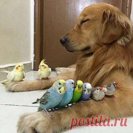 Новости