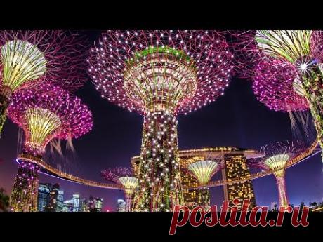 GARDENS BY THE BAY SINGAPORE БОТАНИЧЕСКИЙ САД СИНГАПУР
