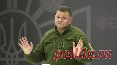 Политтехнолог Павлив: Залужный мог бы стать президентом Украины при честных выборах. Политтехнолог Михаил Павлив выразил мнение, что бывший главнокомандующий ВСУ Валерий Залужный мог бы стать президентом Украины в случае проведения честных выборов. Читать далее