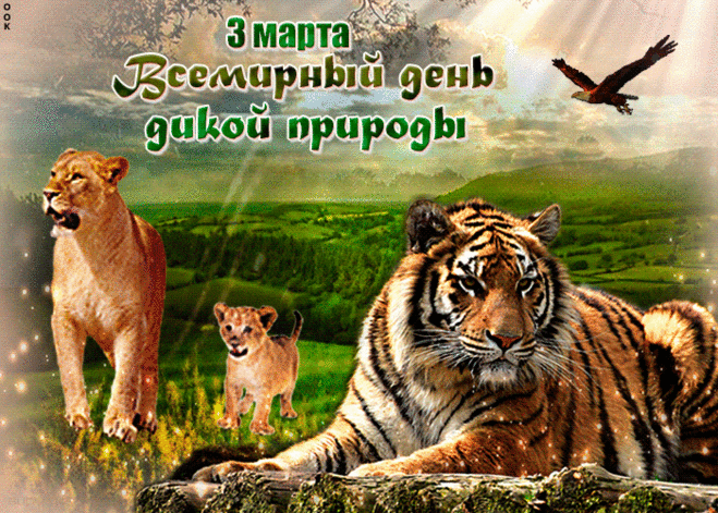 С днем дикой природы
Пусть дикие звери
Живут на свободе,
Парят птицы в небе,
Плывут рыбы в море.