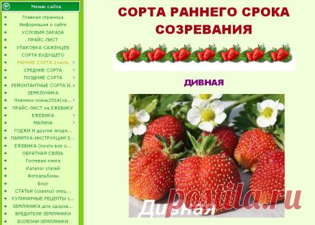 ЗЕМЛЯНИЧНЫЙ РАЙ Галины Володиной