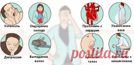Эутиреоз щитовидной железы – что это? Симптомы и лечение