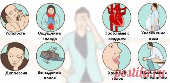 Эутиреоз щитовидной железы – что это? Симптомы и лечение