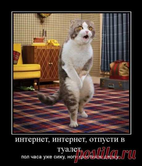 РАДУГА ОТКРЫТОК