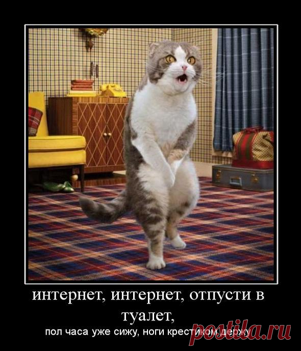 РАДУГА ОТКРЫТОК