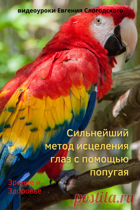 Евгений Слогодский восстановление зрения канал Зрение и Здоровье упражнения гимнастика тренировка зарядка тренажер йога для глаз массаж видео уроки лечение коррекция исправление зрения без операции избавиться от очков линз как восстановить вернуть улучшить плохое зрение симптомы причины рекомендации близорукость катаракта глаукома астигматизм дальнозоркость гиперметропия амблиопия миопия косоглазие острота зрения быстро снять усталость глаз от компьютера стереограмма иллюзия пальминг попугай