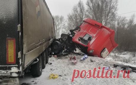 СК завел дело после массового ДТП под Волгоградом с двумя погибшими. Следователи завели уголовное дело после гибели двух человек в массовом ДТП в в Новоаннинском районе Волгоградской области.