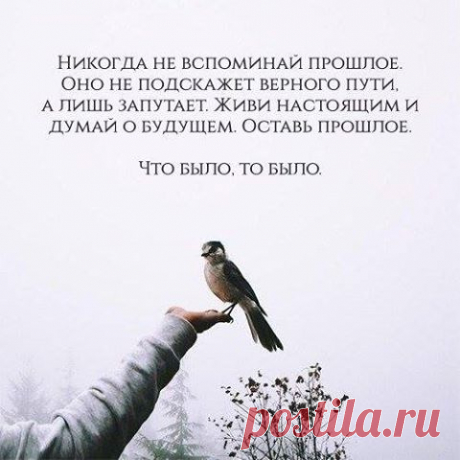 (4) Facebook