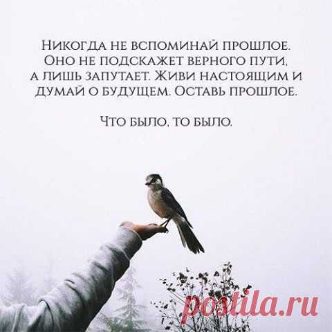 (4) Facebook