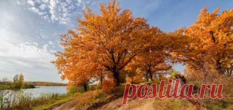 480 карточек в коллекции «Фото недели с 28 сентября по 4 октября» пользователя ЯндексКоллекции в Яндекс.Коллекциях