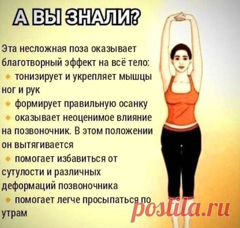 (659) Pinterest
