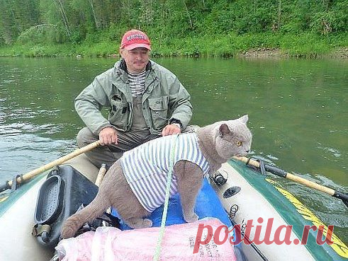 !!!!!!!!!!!!!!!!!!!!
Artur vip
РыбНадзор )))))