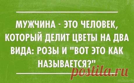 хх