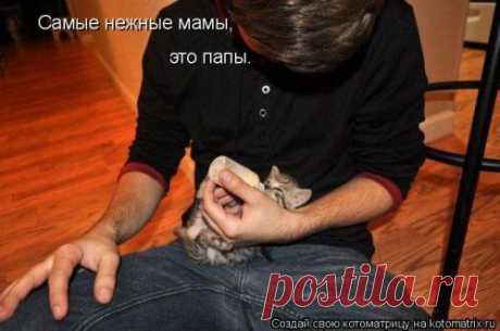 Лучшая котоматрица » Страница 5
